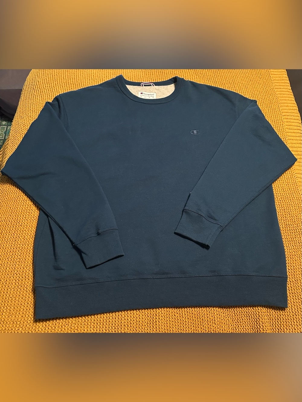 Plus size champion crewneck sweatshirt 2X